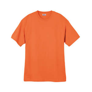 Hanes Heavyweight 100% Cotton Tee - Dark/Color Orange