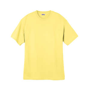Hanes Heavyweight 100% Cotton Tee - Dark/Color Yellow