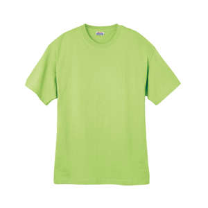 Hanes Heavyweight 100% Cotton Tee - Dark/Color Green, Lime