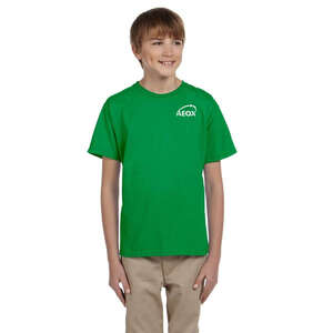 Fruit of the Loom Youth Heavy Cotton 100% Cotton Tee - Dark/Color