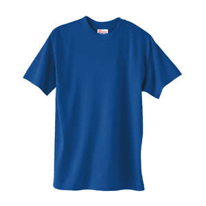 Hanes Heavyweight 50/50 Crew Neck Tee - Dark/Color Blue, Deep Royal