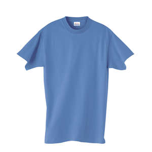 Hanes Heavyweight 50/50 Crew Neck Tee - Dark/Color Blue, Carolina