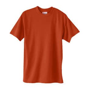 Hanes Heavyweight 50/50 Crew Neck Tee - Dark/Color Orange