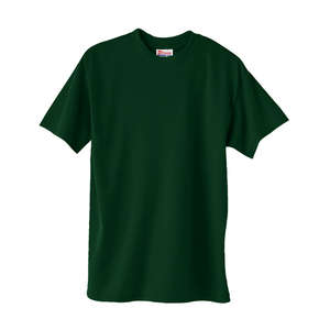 Hanes Heavyweight 50/50 Crew Neck Tee - Dark/Color Green, Deep Forest