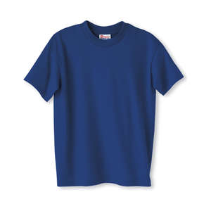 Hanes Youth Heavyweight 50/50 Crew Neck Tee - Dark/Color Blue, Deep Royal
