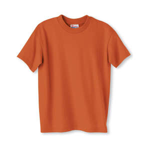 Hanes Youth Heavyweight 50/50 Crew Neck Tee - Dark/Color Orange