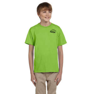 Custom Promotional Hanes Youth Heavyweight 50/50 Crew Neck Tee - Dark/Color