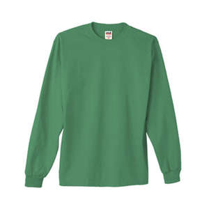 Anvil 100% Heavyweight Cotton Long Sleeve Tee - Dark/Color Green, Aloe