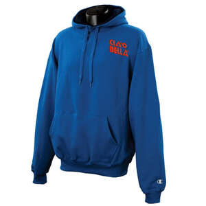 Champion 9.7 oz Cotton Max Color Block Raglan Hood - Dark/Color 