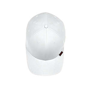 Yupoong Flexfit Low Profile Twill Cap - Dark/All White