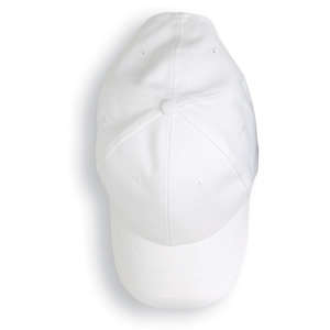 Anvil 6-Panel Brushed Twill Cap - Dark/All White