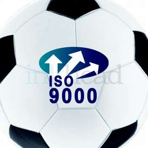 Soccer Ball Stress Reliever 