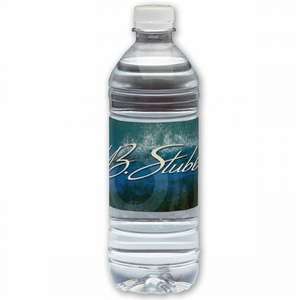 Flat Cap Bottled Water - 16.9oz 