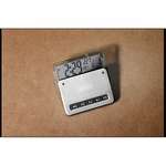 Wholesale Clocks - Contempo Digital Clock/Thermometer