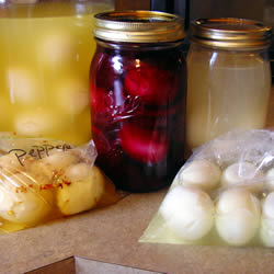 Pickled Eggs