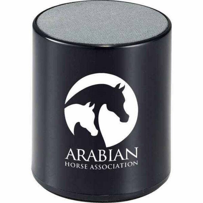 Portable bluetooth speaker