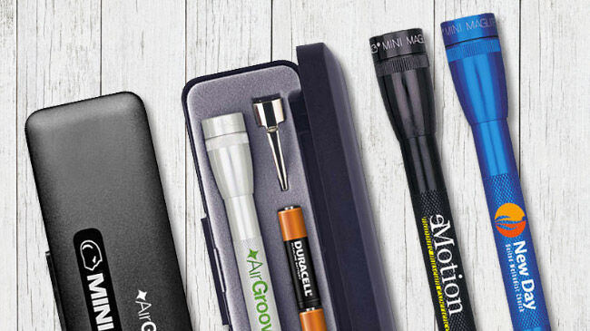 Flashlight and tool kit