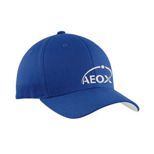 Hats and Other Headwear - Port Authority Flexfit Cotton Twill Cap - Dark/All
