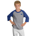 Sport-Tek Youth Colorblock Raglan Jersey - Heather Gray, Heathered/Blue, Royal