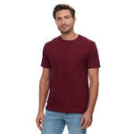Threadfast Apparel Unisex Epic Collection T-Shirt Maroon