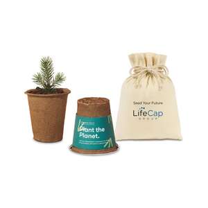 Travel and Outdoor Gifts - Modern Sprout® One For One Tree Kits