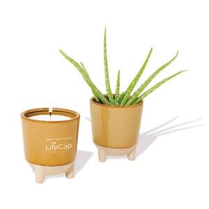 Promotional Products - Modern Sprout® Glow & Grow Live Well Gift Set