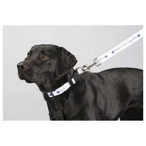 Household Items - Full Color Pet Leash - 1W x 60L