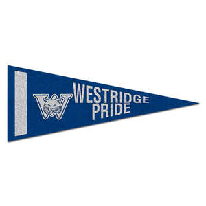Custom Promotional Screened Strip Colored Pennant - 4" x 10"