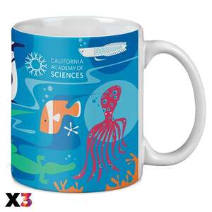 Drinkware - Classic - 11oz Ceramic Mug