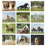 Horses Calendar See Comments