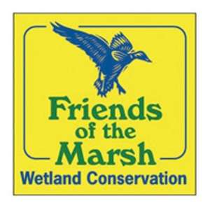 Buttons, Stickers and Patches - Clear Removable Car Sticker - 3 x 3 (Static Cling)