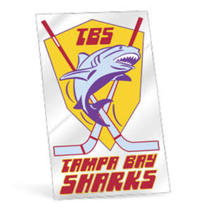 Decals - 6 to 10 sq in Clear Polyester Decal Permanent Adhesive